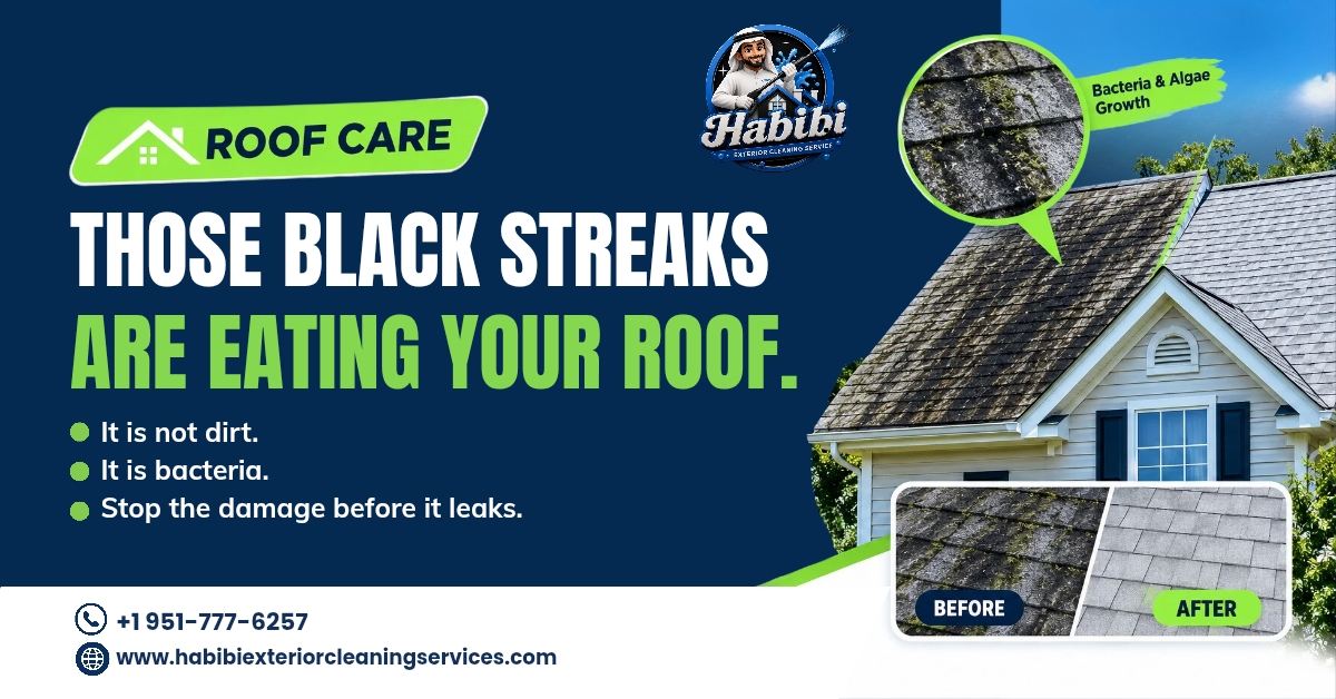 Those Black Streaks Are Eating Your Roof